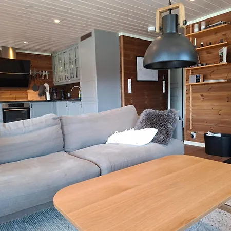 Ferienhaus Perfect Location At Lifjell
