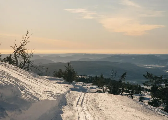 Perfect Location At * Lifjell